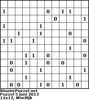 Binaire Puzzel