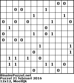 Binaire Puzzel