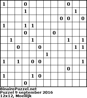 Binaire Puzzel