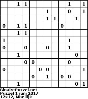 Binaire Puzzel