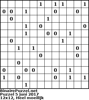 Binaire Puzzel