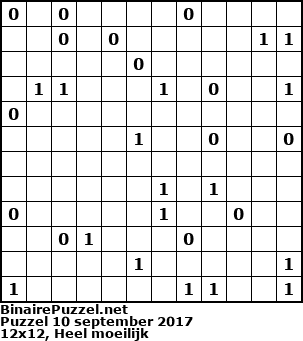 Binaire Puzzel