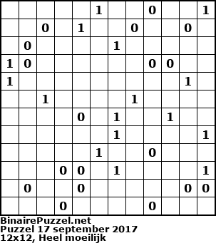 Binaire Puzzel