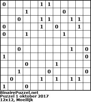 Binaire Puzzel