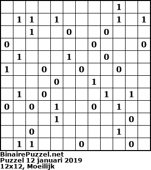 Binaire Puzzel