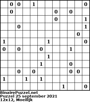 Binaire Puzzel