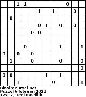 Binaire Puzzel