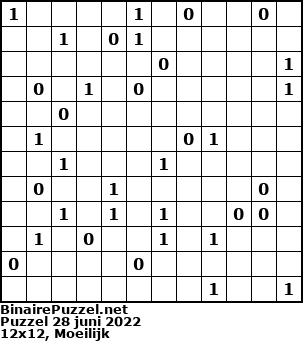 Binaire Puzzel
