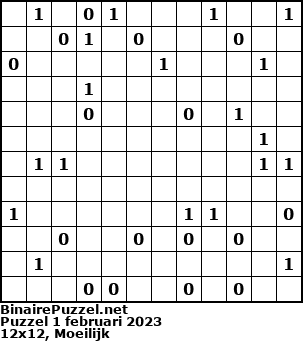 Binaire Puzzel