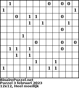 Binaire Puzzel