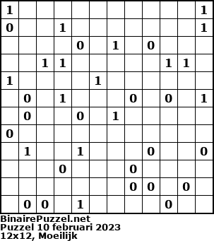Binaire Puzzel