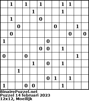 Binaire Puzzel