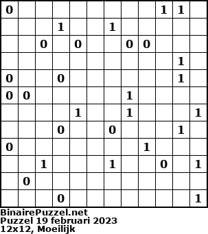Binaire Puzzel