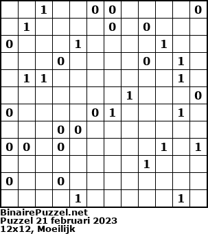 Binaire Puzzel