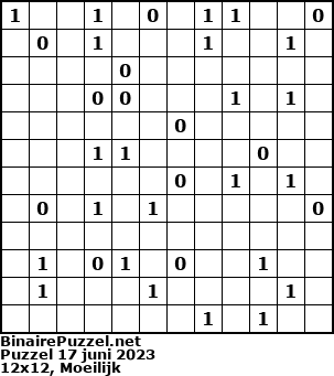 Binaire Puzzel