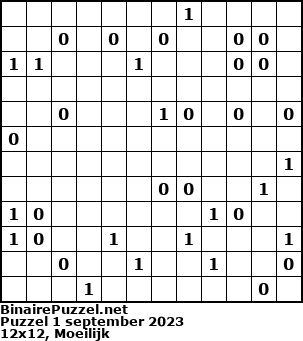 Binaire Puzzel