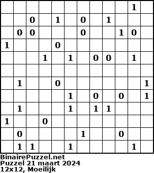 Binaire Puzzel