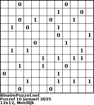 Binaire Puzzel