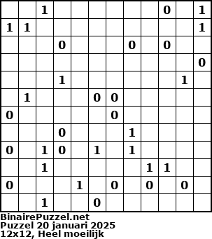 Binaire Puzzel