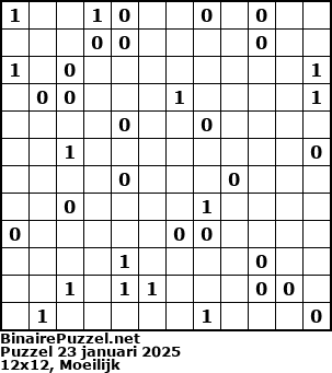 Binaire Puzzel