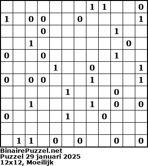 Binaire Puzzel