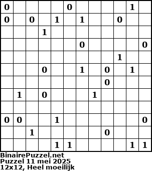 Binaire Puzzel
