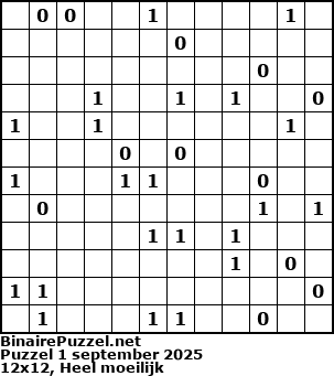Binaire Puzzel