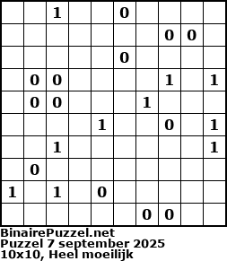 Binaire Puzzel