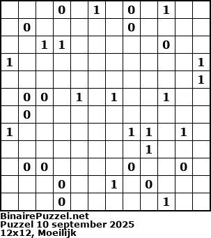 Binaire Puzzel