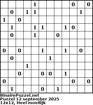 Binaire Puzzel