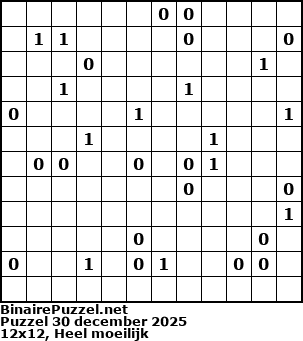 Binaire Puzzel