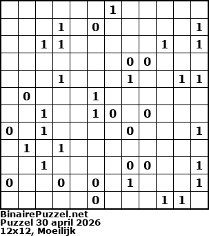 Binaire Puzzel