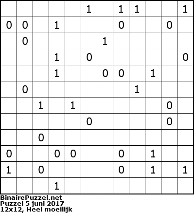 Binaire Puzzel