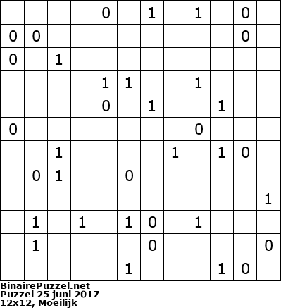Binaire Puzzel
