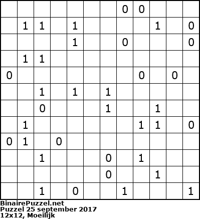 Binaire Puzzel
