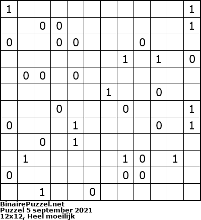 Binaire Puzzel