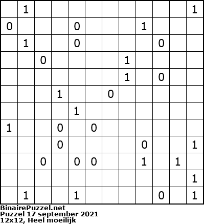 Binaire Puzzel