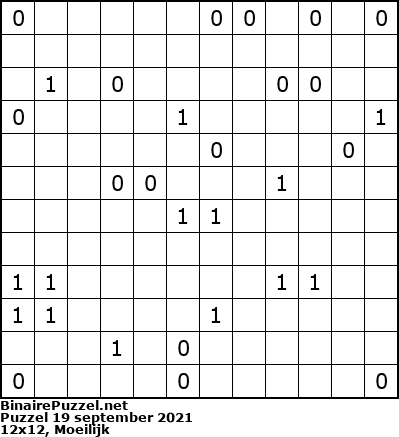 Binaire Puzzel