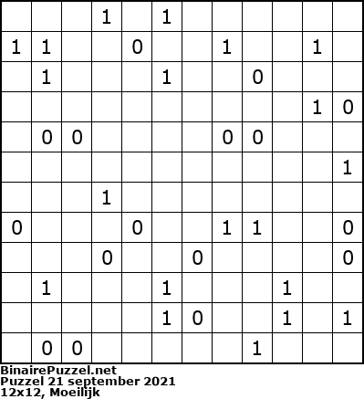 Binaire Puzzel