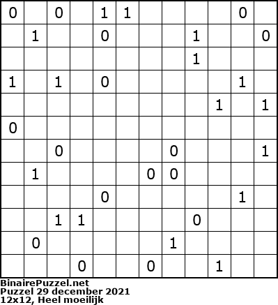 Binaire Puzzel