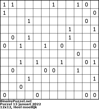 Binaire Puzzel