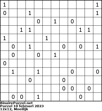 Binaire Puzzel