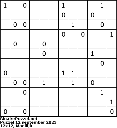 Binaire Puzzel