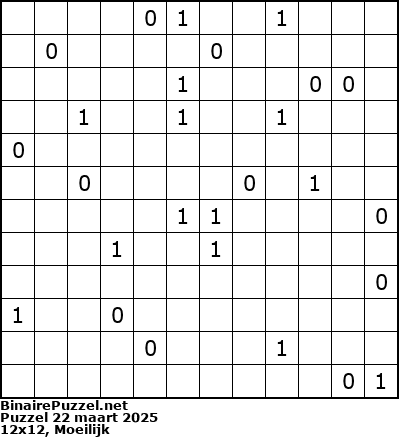 Binaire Puzzel