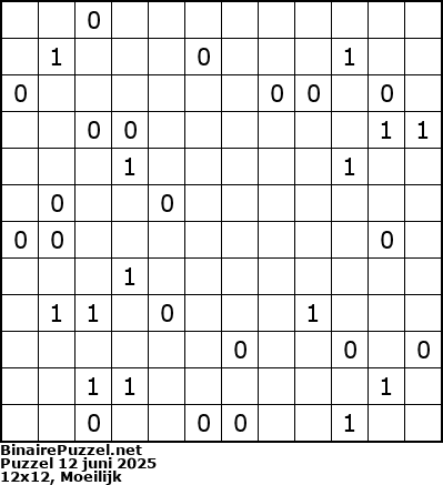 Binaire Puzzel