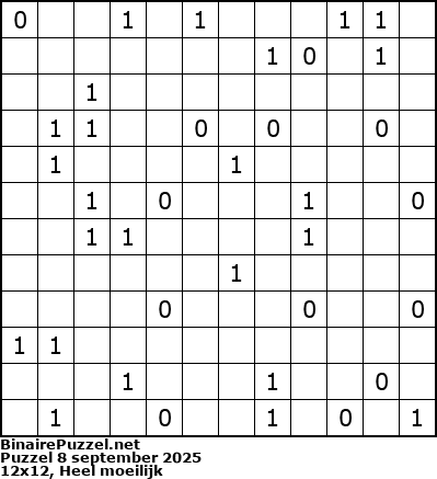 Binaire Puzzel