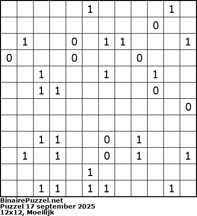 Binaire Puzzel