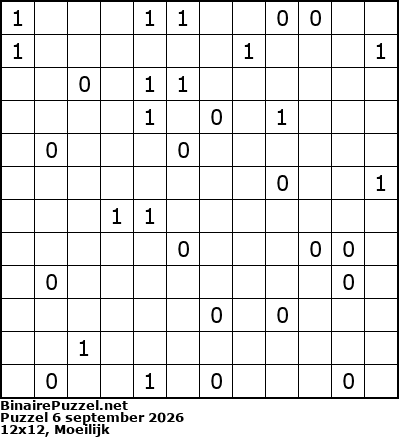 Binaire Puzzel