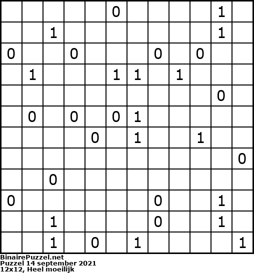 Binaire Puzzel