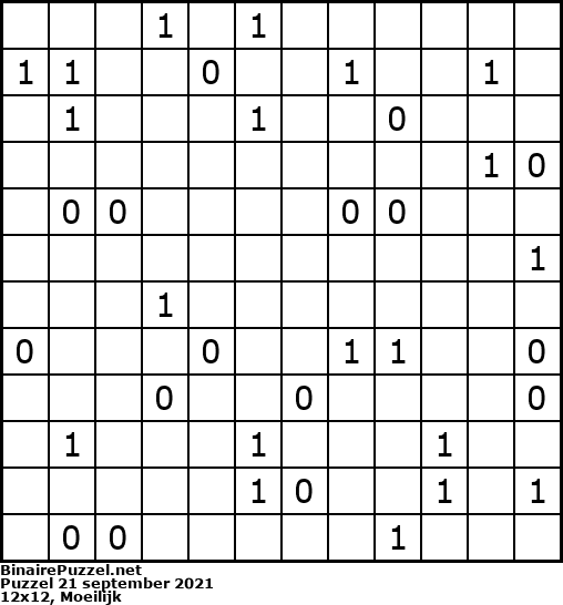 Binaire Puzzel